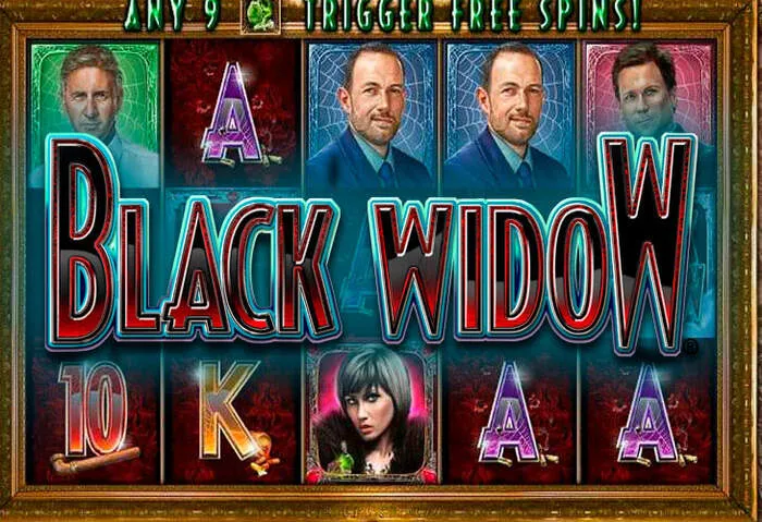 Responsive Lycka Casino customer support team.